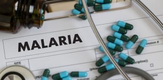 First malaria treatment for babies a major step – SA biochemist