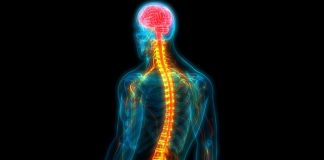 World's first spinal cord transplant could allow patients to walk again