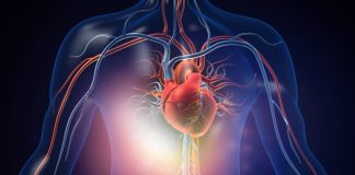 Game-changing heart health research at world conference