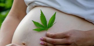 New guidance urges universal cannabis screening in pregnancy