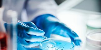 Free State doctors identify first SA case of novel fungal infection