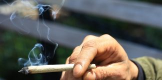 Cannabis doubles death, major heart event risk – meta-analysis