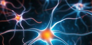 Cambridge clinical trial offers hope of new MS therapies