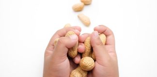 Children’s peanut allergies plummet after new guidelines – US study