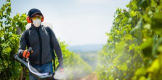 Pesticides damaging Western Cape children’s brains – SA-Swiss study