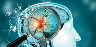 Key stages for brain ageing – Cambridge study