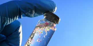 Studies on microplastics in human body now in doubt