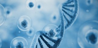 Doors opening for stem cell research in South Africa