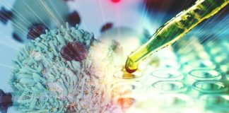 Drug combo boosts hope for multiple myeloma survival