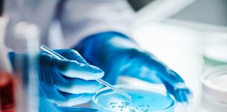 Wits team develops microbial ‘watchlist’ tool for cancer prevention