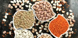 High BP slashed by a third with legume, soy diet – UK study