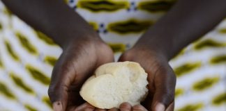Why food alone won’t fix childhood stunting – SA study