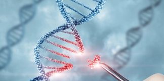 Girl's death after first-in-human gene editing sparks investigation