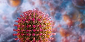 Army of dormant viruses can be awoken by Covid – US study