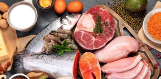 Ageing could be delayed by eating less protein – US review